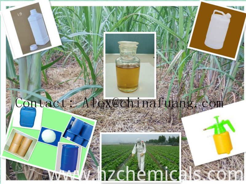 Systemic Herbicide 98%Tc Herbicide Penoxsulam